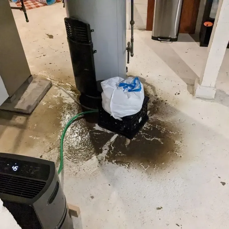 Sewage Backup Cleanup Service in Oolitic, IN